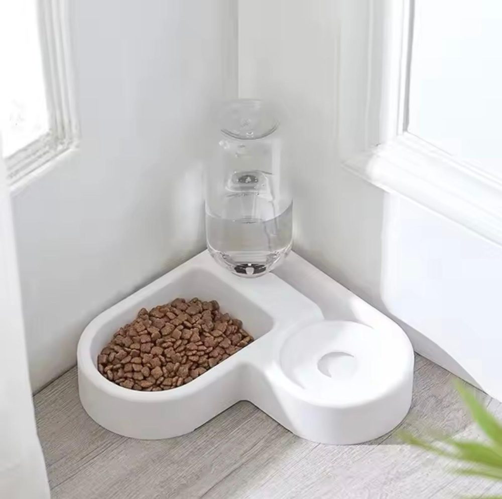 Food Bowl - Image 6