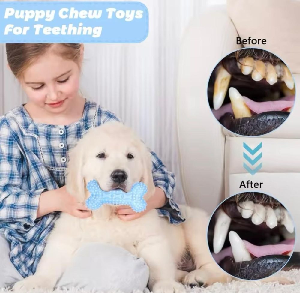 Chew Toy - Image 2