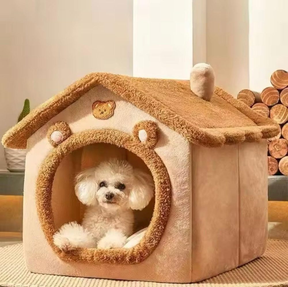 Dog House